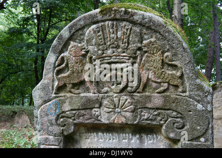 Pierres tombales datant du xvie siècle, l'une des plus anciennes de la Pologne, Kirkut, cimetières juifs Lesko Bieszczady Pologne Banque D'Images