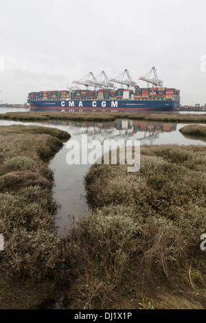 CMA CGM conteneurs Jules Verne, dans le port de Southampton, UK Banque D'Images