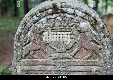 Pierres tombales datant du xvie siècle, l'une des plus anciennes de la Pologne, Kirkut, cimetières juifs Lesko Bieszczady Pologne Banque D'Images