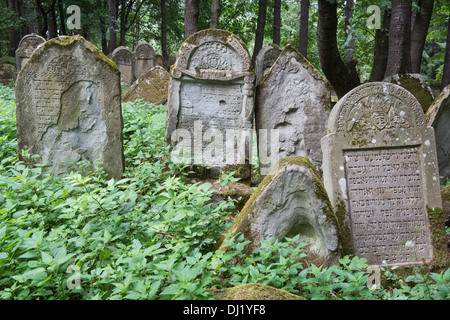 Certaines pierres tombales datant du xvie siècle, l'une des plus anciennes de la Pologne, Kirkut cimetières juifs, Lesko Bieszczady Pologne Banque D'Images
