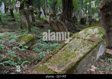 Pierres tombales datant du xvie siècle, l'une des plus anciennes de la Pologne, Kirkut, cimetières juifs Lesko Bieszczady Pologne Banque D'Images