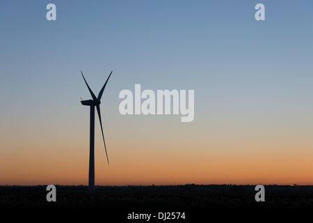 Cambridgeshire Fens, UK. 19 nov., 2013. Le soleil se couche sur une bonne soirée par un parc éolien à Warboys près de Huntingdon dans le Cambridgeshire Fens UK 19 novembre 2013. La température était juste au-dessus du point de congélation dans un vent du nord et une nuit de gel est prévu. Credit : Julian Eales/Alamy Live News Banque D'Images