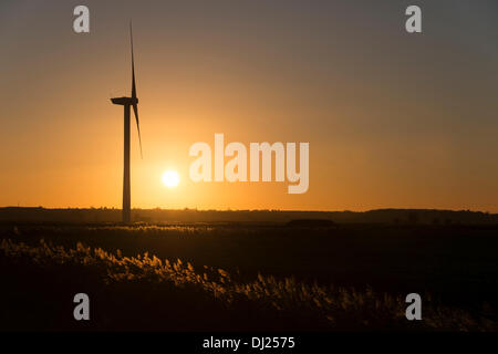 Cambridgeshire Fens, UK. 19 nov., 2013. Le soleil plonge au-dessous de l'horizon sur une bonne soirée par un parc éolien à Warboys près de Huntingdon dans le Cambridgeshire Fens UK 19 novembre 2013. La température était juste au-dessus du point de congélation dans un vent du nord et une nuit de gel est prévu. Credit : Julian Eales/Alamy Live News Banque D'Images