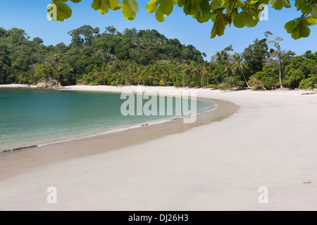 Plage Manuel Antonio ou Playa Manuel Antonia à l'intérieur de Parc National Manuel Antonio sur la côte ouest du Costa Rica Banque D'Images