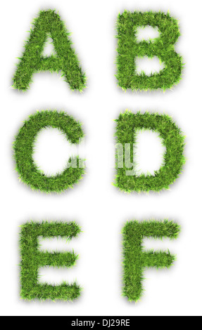 Les lettres A,B,C,D,E,F faits de Green grass isolated on white Banque D'Images