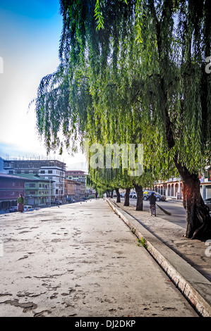 Rue principale ville Thimphu tôt le matin, Norzin Lam Banque D'Images