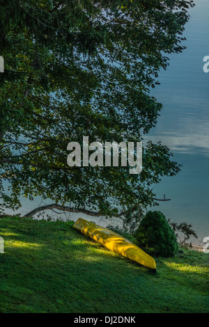 Un kayak jaune à terre sous les branches d'un grand arbre avec l'eau de mer en arrière-plan dans Sullivan, Maine Banque D'Images