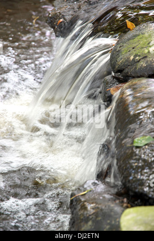 L'eau qui coule des rochers dans le jardin. Banque D'Images