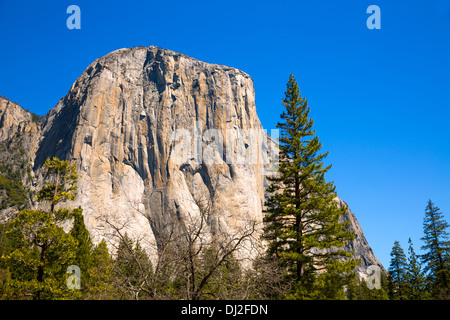 Yosemite National Park El Capitan California USA Banque D'Images