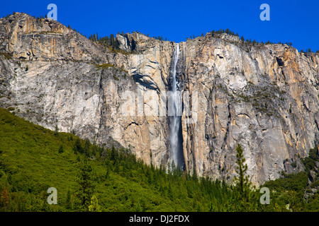 La prêle Yosemite chute d'automne au printemps Californie Parcs Nationaux de l'AU Banque D'Images