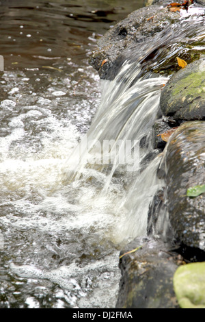 L'eau qui coule des rochers dans le jardin. Banque D'Images