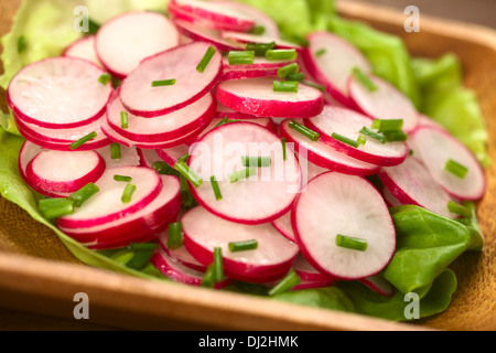 Salade de radis frais avec la ciboulette servi sur une feuille de laitue sur un bol en bois (Selective Focus, Focus au milieu de la photo) Banque D'Images