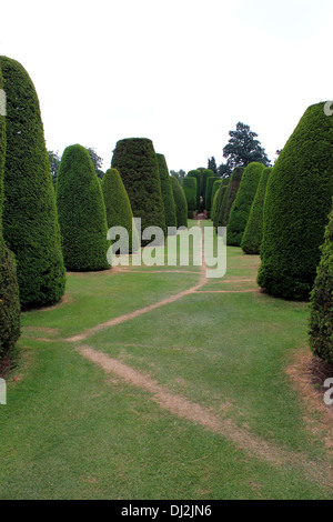 If à Packwood House, un manoir Tudor près de Lapworth, Warwickshire. La propriété du National Trust depuis 1941. Banque D'Images