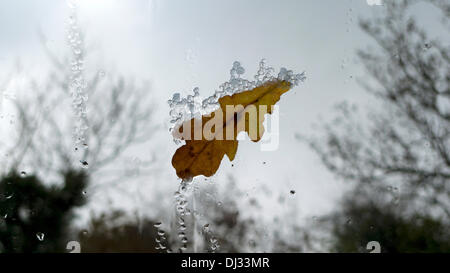 Llanwrda, Pays de Galles, Royaume-Uni mercredi le 20 août 2013. Le souffle du vent soufflant par la grêle et les feuilles dans une fenêtre dans Carmarthenshire au Pays de Galles. De brèves périodes de temps hostile foncé brillant avec intermittantly mix sons de la lumière du soleil. Kathy deWitt/Alamy Live News Banque D'Images