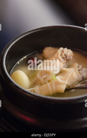 Ragoût de poulet avec ginseng , soupe coréenne Banque D'Images