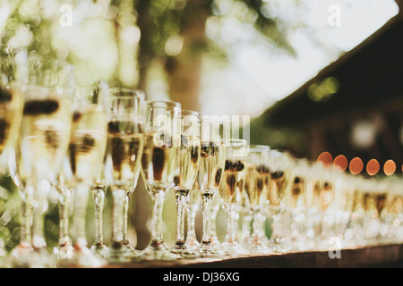 Verres de Champagne dans une rangée ; Pemberton, Colombie-Britannique, Canada Banque D'Images