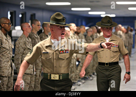 Un instructeur de forage de l'US Marine Corps hurle après de nouvelles recrues au cours de la formation le 26 octobre 2013 sur l'Île Parris, L.C. Banque D'Images