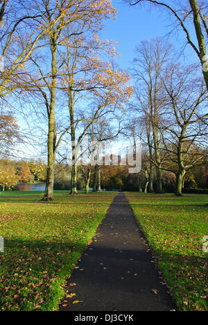 Abington, Northampton, Northamptonshire. 21 nov., 2013. Une belle journée ensoleillée avec des couleurs de l'automne plein Abington Park dans le Northamptonshire Crédit : Bigred/Alamy Live News Banque D'Images