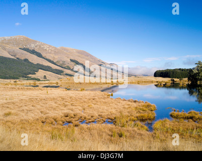 Scène de Mavora Lakes Park, près de Mossburn, Southland, Nouvelle-Zélande. Banque D'Images