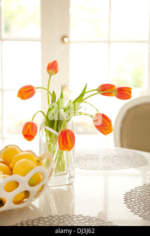 Tulipes Orange et citrons sur table en salle à manger ensoleillée Banque D'Images