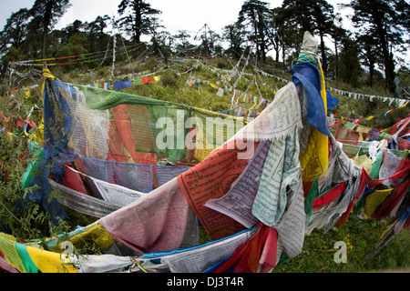 Le Bhoutan, Dochu La, enchevêtrement de drapeaux de prières colorés sur la haute altitude col Banque D'Images