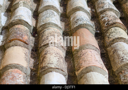 Vieilles tuiles en pierre naturelle Banque D'Images