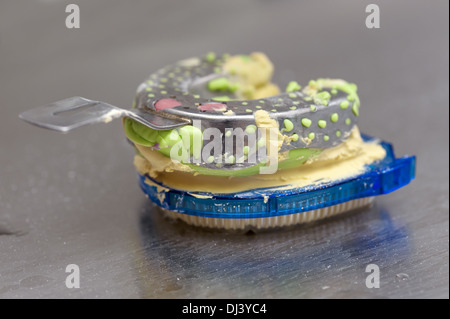 Mâchoire supérieure modèle dans le durcissement Banque D'Images