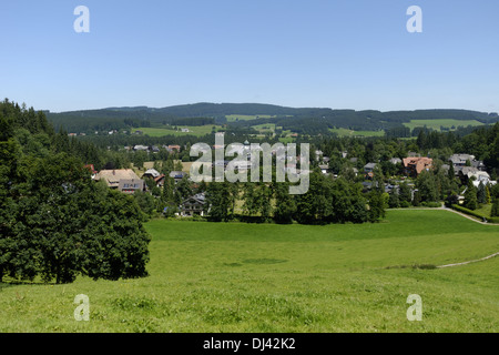 Dans la Forêt-Noire Hinterzarten Banque D'Images