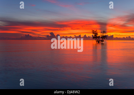 Lever du soleil à l'île d'Andaman Havelock, Inde) Banque D'Images