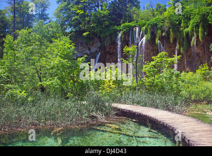 Nationalpark Pliticize Jezera Banque D'Images