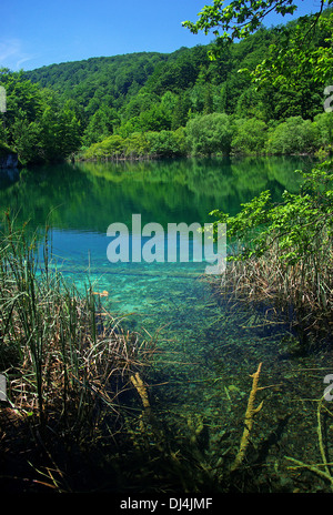 Le parc national de Plitvice Jezera Banque D'Images