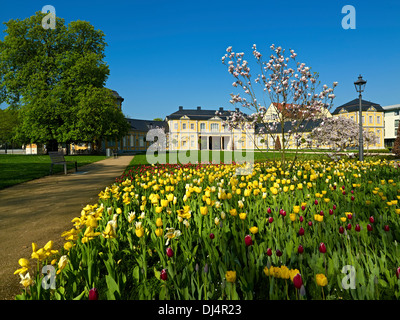 L'Orangerie, la floraison des tulipes et des magnolias, Gera, Thuringe, Allemagne Banque D'Images