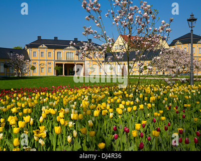 L'Orangerie, la floraison des tulipes et des magnolias, Gera, Thuringe, Allemagne Banque D'Images