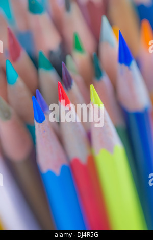 Crayons de couleur dans des couleurs primaires Banque D'Images