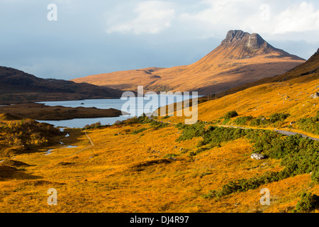 Deer Grass, de couleur orange à l'automne de temps ci-dessous en Pollaidh Stac, Nord Ouest de Assynt Highlands, Ecosse, Royaume-Uni. Banque D'Images