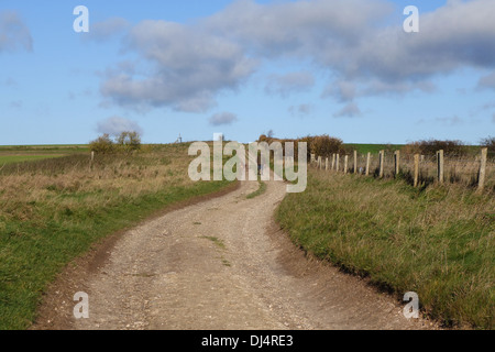 Le Ridgeway National Trail, près d'Avebury, Wiltshire, Angleterre, Royaume-Uni Banque D'Images