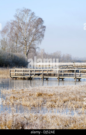 Passerelle en bois à travers une lande en Bavière Banque D'Images