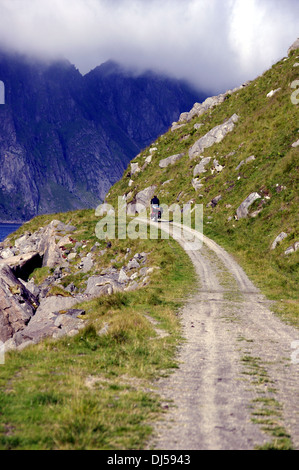 Piste rugueuse sur les Lofoten Banque D'Images