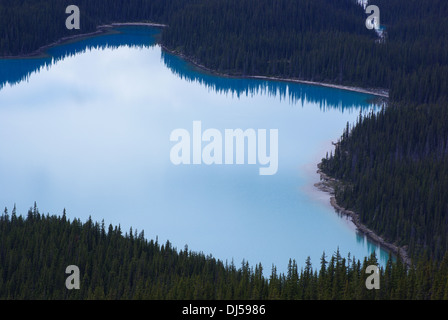 Promenade des Glaciers Peyto Lake le long Banque D'Images