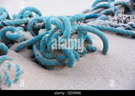 Corde de pêche jeté par-dessus bord par un chalutier et lavé à terre sur la côte près de Blackpool, Lancashire, Royaume-Uni. Banque D'Images