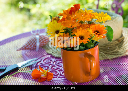 Des soucis et des capucines dans une vieille tasse sur une table de jardin Banque D'Images