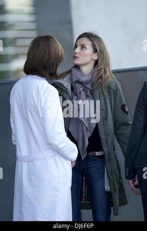 Madrid, Espagne. 22 nov., 2013. La princesse Letizia d'Espagne Visite au Roi Juan Carlos d'Espagne à l'Hôpital Universitaire de Quiron le 22 novembre 2013 à Pozuelo de Alarcon, Espagne. Le roi d'Espagne est à la chirurgie pour obtenir une prothèse définitive sur sa hanche gauche. L'opération sera le neuvième du Roi en trois années de crédit : Jack Abuin/ZUMAPRESS.com/Alamy Live News Banque D'Images
