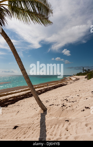 La marche Une plage tropicale. Une femme et une personne dans la distance de marche le long d'une longue plage de sable blanc sur Elbow Cay Banque D'Images