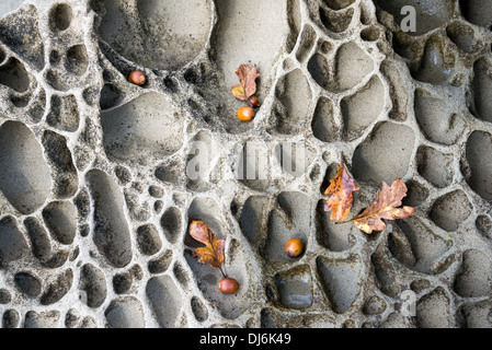 Roches poquées tafoni, Fords Cove, Hornby Island, Colombie-Britannique, Canada Banque D'Images