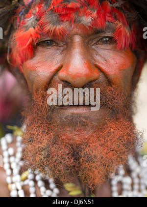 Vieil homme avec barbe de cratère Mt Singsing Group, l'Apul ème arrondissement - Goroka Show, Papouasie Nouvelle Guinée Banque D'Images