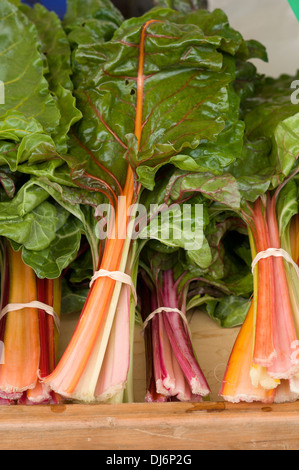 Produire à un marché de fermiers, blettes et les légumes verts Banque D'Images