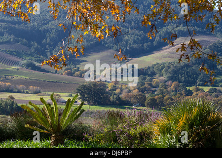 L'Afrique du Sud, paysage d'automne près de Stellenbosch. Banque D'Images