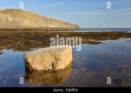 L'habitat côtier à corniches Kimmeridge, Dorset, UK Banque D'Images