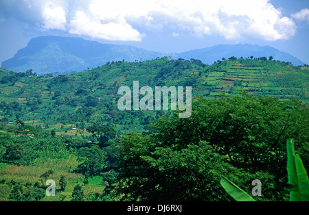 Terres cultivées sur les contreforts du Mont Elgon en Ouganda Banque D'Images