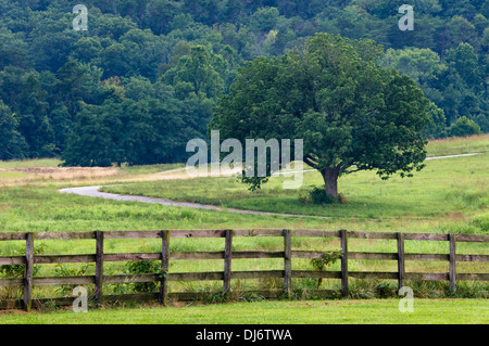 À côté de Lone Tree Country Lane dans Floyd Comté (Indiana) Banque D'Images